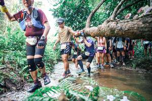 BIB: 
                            <button type="button" onclick="openModal(25470964)" class="btn btn-primary btn-sm float-right btn-popup" data-toggle="modal" data-target=".modal-high-quality">
                        <i class="fas fa-shopping-cart"></i> Add to Cart
                    </button>
                                            <button type="button" onclick="isThisMe(25470964, true)" class="btn btn-success btn-sm float-right btn-popup btn-isme hidden" data-toggle="tooltip" data-placement="bottom" title="นี่คือรูปของคุณใช่ไหม คลิกที่นี่เพื่อเอาเข้าอัลบั้ม">
                        <i class="fas fa-plus"></i> Add to album
                    </button>
                    <button type="button" onclick="isThisMe(25470964, false)" class="btn btn-warning btn-sm float-right btn-popup btn-isnotme hidden">
                        <i class="fas fa-ban"></i> Remove from album
                    </button>